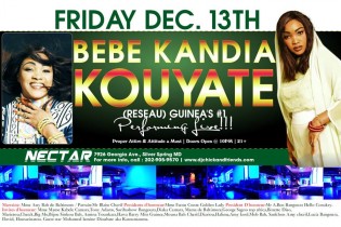 Concert Géant de BEBE KOUYATE ce vendredi au club Nectar, Silver Spring!