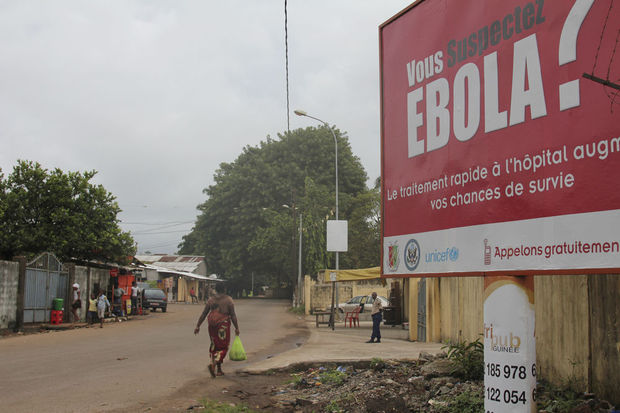 ebola-impact