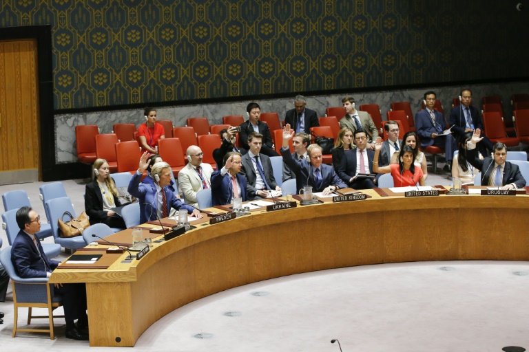 Le Conseil de Sécurité « reclame » à l’unanimité un cessez-le feu en Syrie