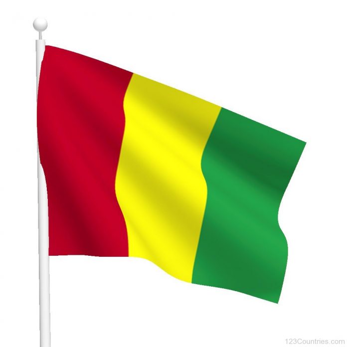 Guinea-Flag