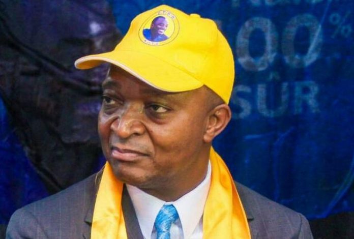 Emmanuel Ramazani Shadary