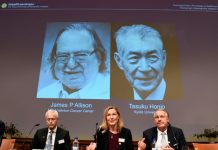 Le Nobel de médecine à un duo nippo-américain pour ses recherches sur le cancer