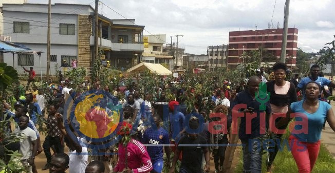 cameroun-manif