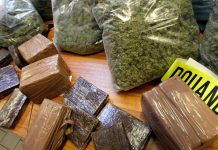 Plus de 14% des Nigérians consommateurs de drogue (étude)