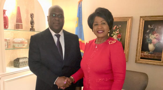 President Tchisekedi is open to the idea of building a « Wakanda » in the DRC
