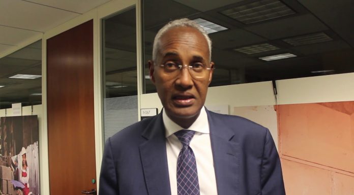 Les critiques sur les réalisations chinoises en Afrique sont « insensées » (officiel djiboutien)