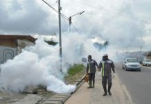 La Côte d’Ivoire lutte contre le retour de la dengue