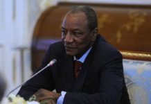 Guinée: Alpha Condé dénonce les gardes forestiers du pays