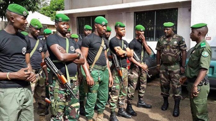 guinea-gendarme