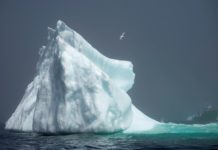 Les océans en passe de devenir nos pires ennemis, alerte l’ONU