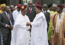 Réunion à Niamey contre un « troisième mandat sur le continent »