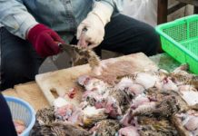 Cinq aliments qui peuvent vous rendre malade ou vous tuer