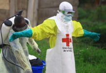 Ebola: la Guinée et cinq autres pays placés en «alerte urgente»